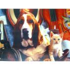 N209-05 Картина 3D 34х24см пластик Собака и кошка